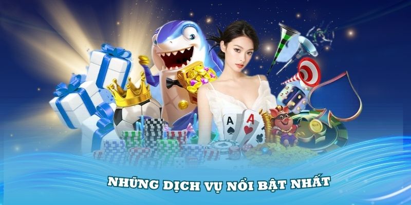 Tìm hiểu C54 với những dịch vụ nổi bật nhất